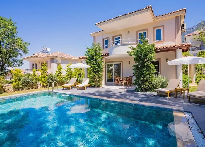 Oeluedenizde Genis Bahce Oezel Havuzlu Royal 11 Villa